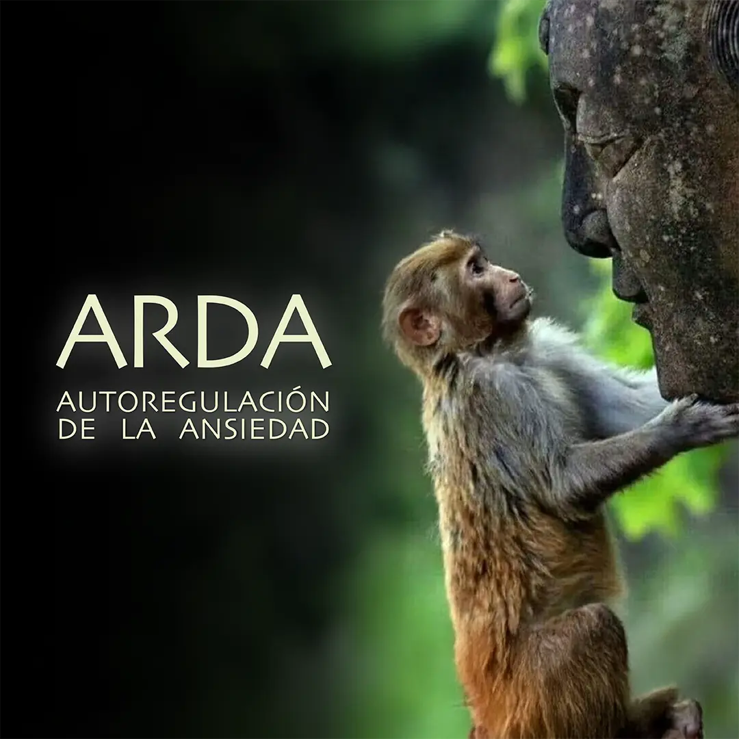 arda_ansiedad